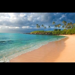 Meet your Posher, Joe